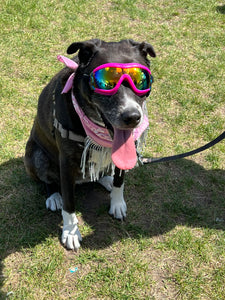 Doggles: Pink with Rainbow Lens