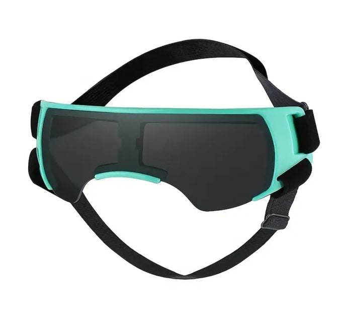 Retro Doggles: Turquoise