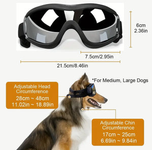 Doggles: Black with Silver Lens