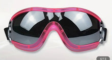 Load image into Gallery viewer, Doggles: Pink with Silver Lens