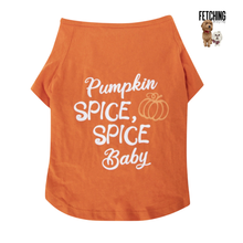 Load image into Gallery viewer, Pumpkin Spice, Spice Baby