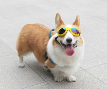 Load image into Gallery viewer, Foldable Doggles